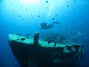Thistlegorm Bow:(c) Iain Crampton