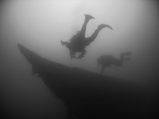 Pelican : (c) Iain Crampton