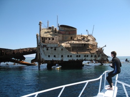 louisa shipwreck, gordon reef, tiran